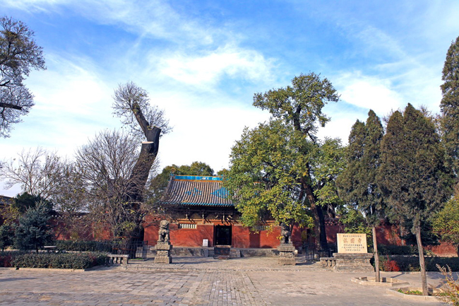 镇国寺(图1)